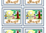 do urdu typing, urdu english typing, and document formatting
